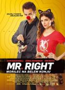 Mr. Right - Morilec na belem konju