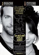 <b>Jay Cassidy and Crispin Struthers</b><br>Za dežjem posije sonce (2012)<br><small><i>The Silver Linings Playbook</i></small>