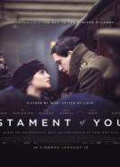 Testament of Youth