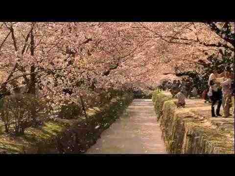 The Tsunami and the Cherry Blossom - trailer